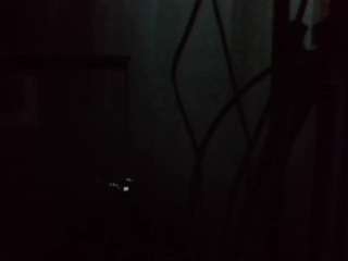 PiterParker1