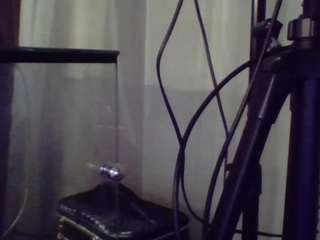 piterparker1 Live Webcam on CamSoda