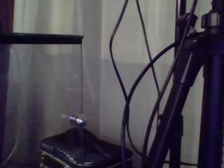 piterparker1 Live Webcam on CamSoda
