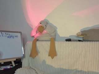 hollisbucker Live Webcam on CamSoda