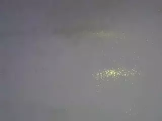 Freakybrula's Live Sex Cam Show