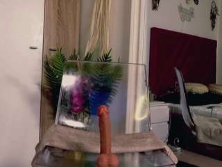 aliyv webcam