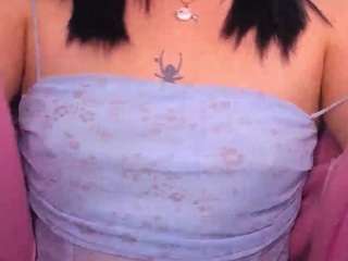 teffy-brown-a