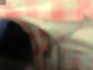 teffy-brown-a live cam preview