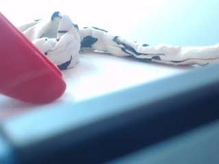 victoria-hernandez-t