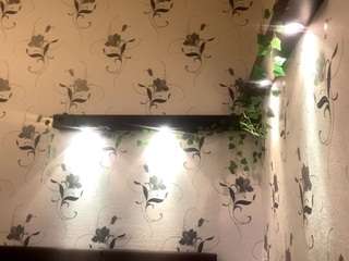 wilonegrooms webcam