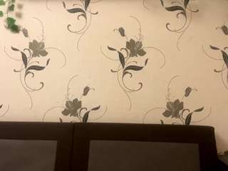 wilonegrooms webcam