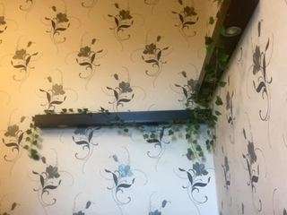 wilonegrooms camsoda