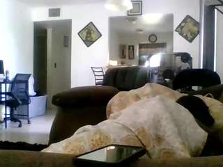 tsunamit3a webcam