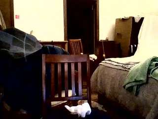 timmcginnity live webcam show