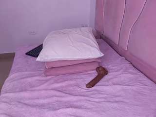 ambarasm webcam model