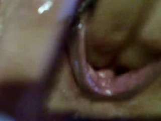 Ellinrosex