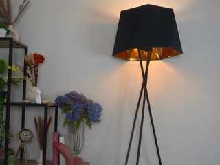 quennacurrington live webcam show