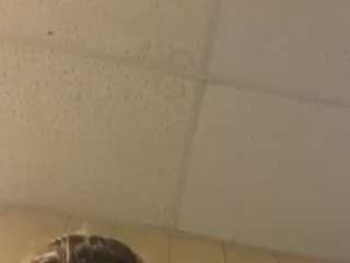 TatiannaSweets11