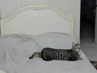 bitchdancer0's Live Sex Cam Show
