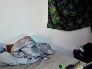 spunsub4superiortops