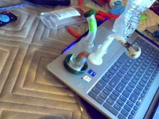 Spunsub4SuperiorTops