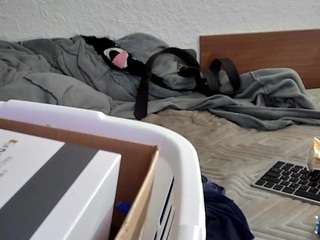 spunsub4superiortops webcam