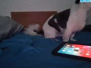 Spunsub4SuperiorTops