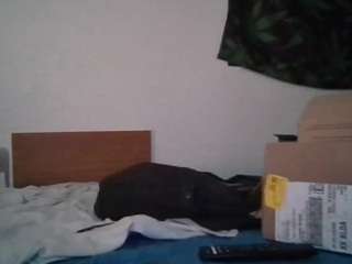 spunsub4superiortops webcam