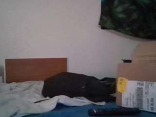 spunsub4superiortops