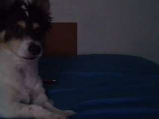 Spunsub4SuperiorTops