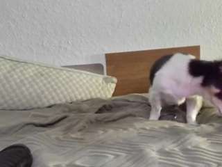 Spunsub4SuperiorTops