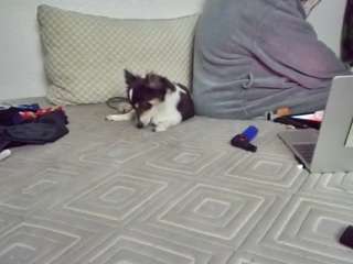 spunsub4superiortops