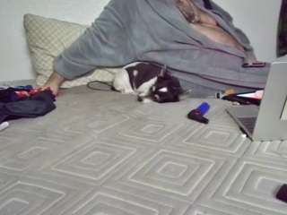 spunsub4superiortops