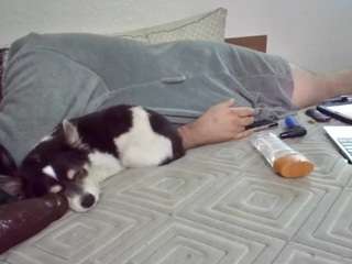 Spunsub4SuperiorTops