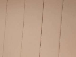 agathaa-steel webcam