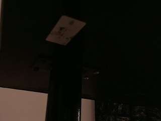  molly-curvyhot chat room