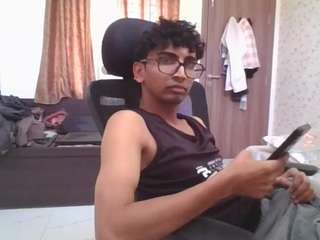prikrishi webcam