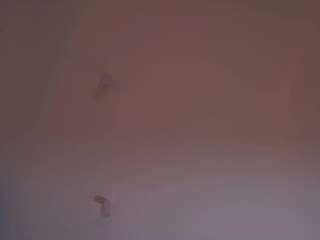 elvinaband webcam