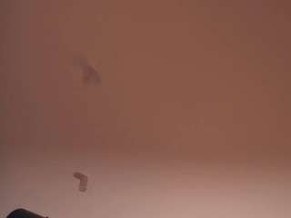 elvinaband webcam
