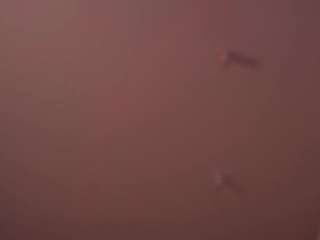 elvinaband webcam