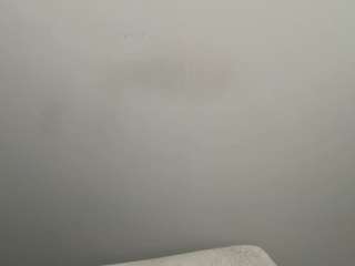  serenamask chat room