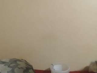 yesmasterx21 Live Webcam on CamSoda