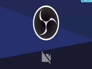 dominicdicaio