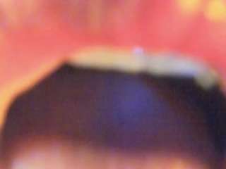 antomouthparadise
