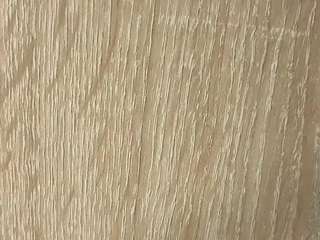 nofacemodel