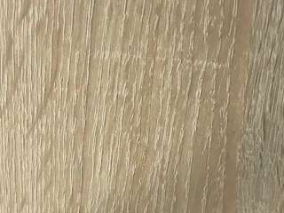 nofacemodel live webcam show