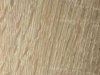 nofacemodel live cam preview