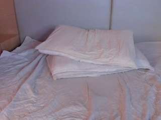 celeste-evanns webcam