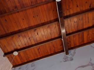 celeste-evanns Profile Image