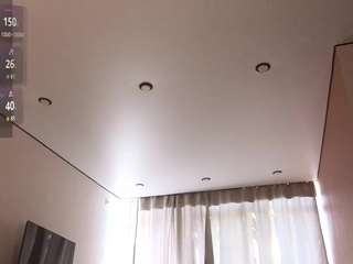 koyoomi webcam