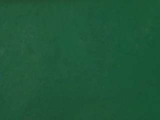 anjelinapoem webcam