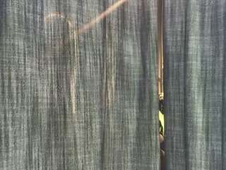 aishhaferrari webcam