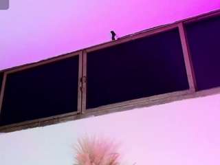 Samy_Grey01