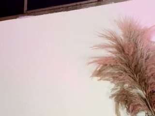 Samy_Grey01 live cam preview